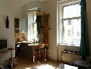 Small apartment Veleslavinova #4